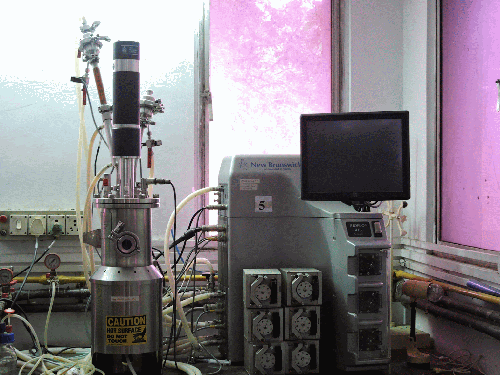 bioprocess facility